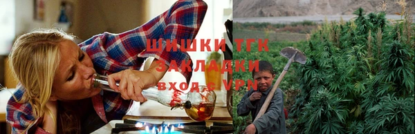 каннабис Белокуриха