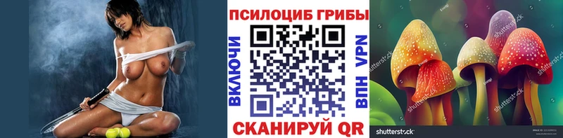 Галлюциногенные грибы Psilocybe  Куйбышев 