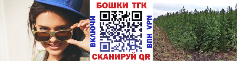 хочу наркоту  Куйбышев  Конопля ГИДРОПОН 